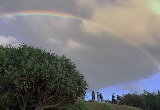 プレミアム・サーフィン・スクールが各サーフ系メディアに軒並み掲載される!