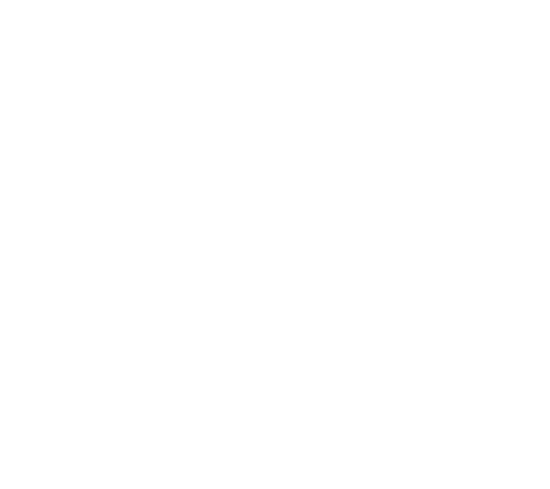 PREMIUM SURFING SCHOOL